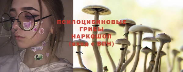 таблы Каменка