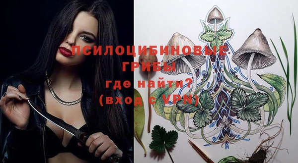 таблы Каменка