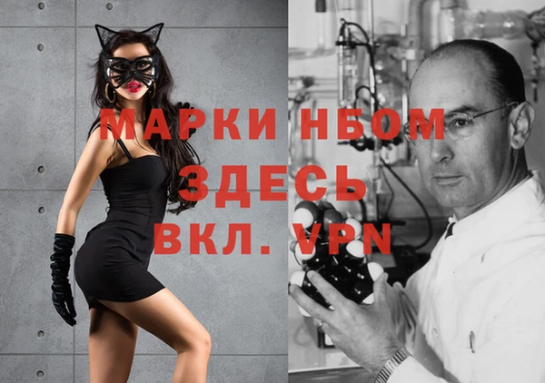 скорость Каменногорск