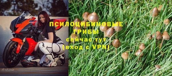 скорость Каменногорск