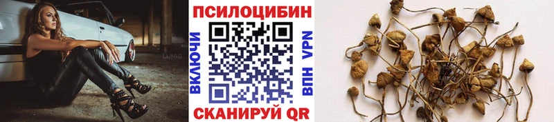 Псилоцибиновые грибы ЛСД  Купить  Ува 